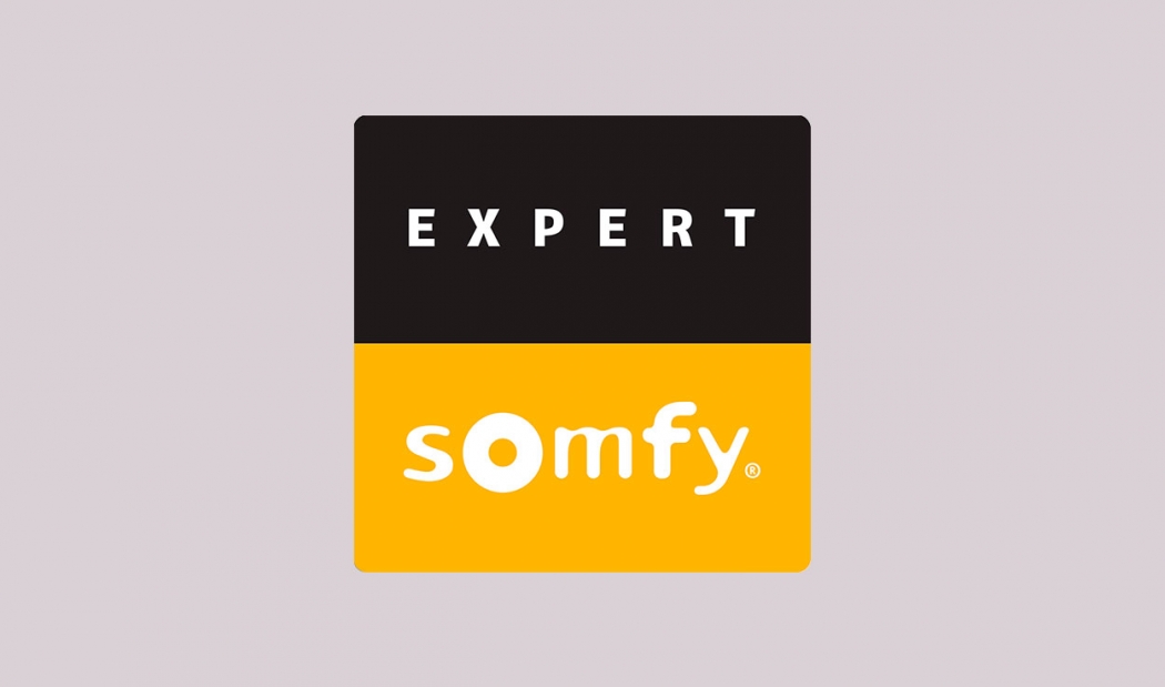 Expert Somfy